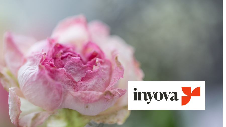 Inyova Säule 3a: Testbericht