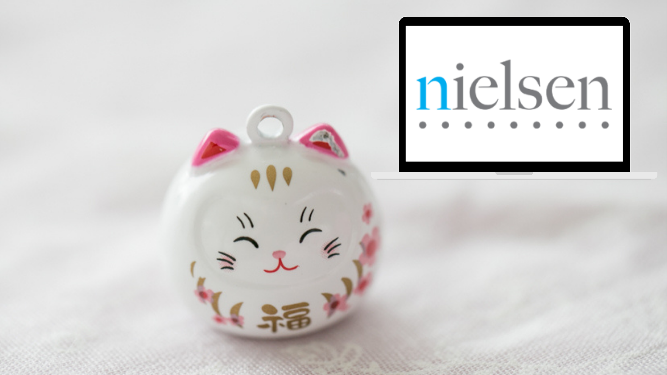 Nielsen Homescan Schweiz Erfahrungen