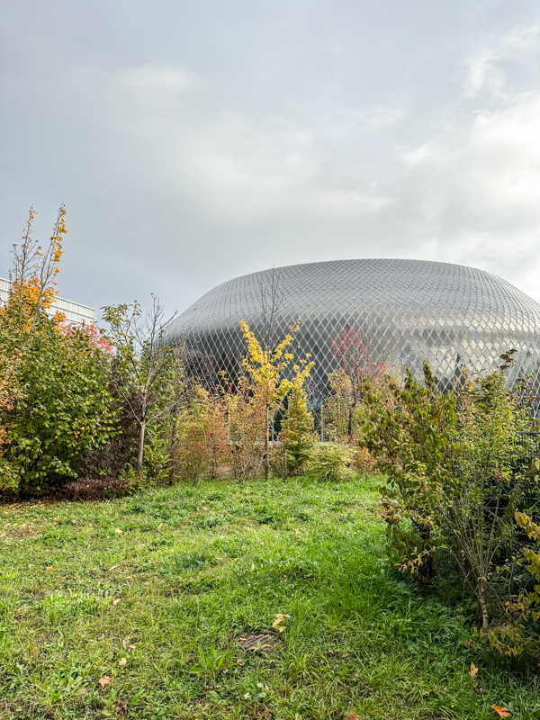 Novartis Pavillon
