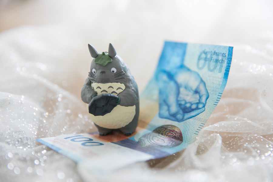Geld investieren für Anfänger: Aktien und Sachdividenden